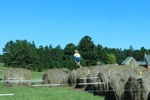 resIMG_20141004_125544_3381.JPG
